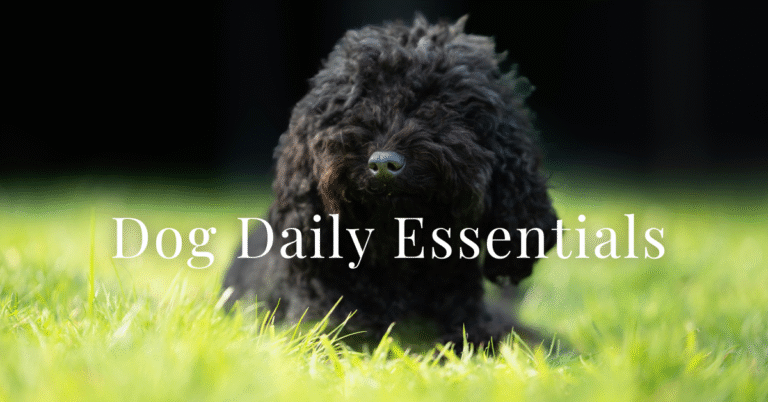 Dog Daily Essentials Shopping List
